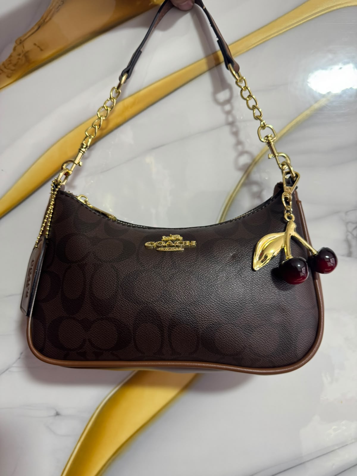 Bolsos Coach de Lujo para Mujer el Complemento Perfecto