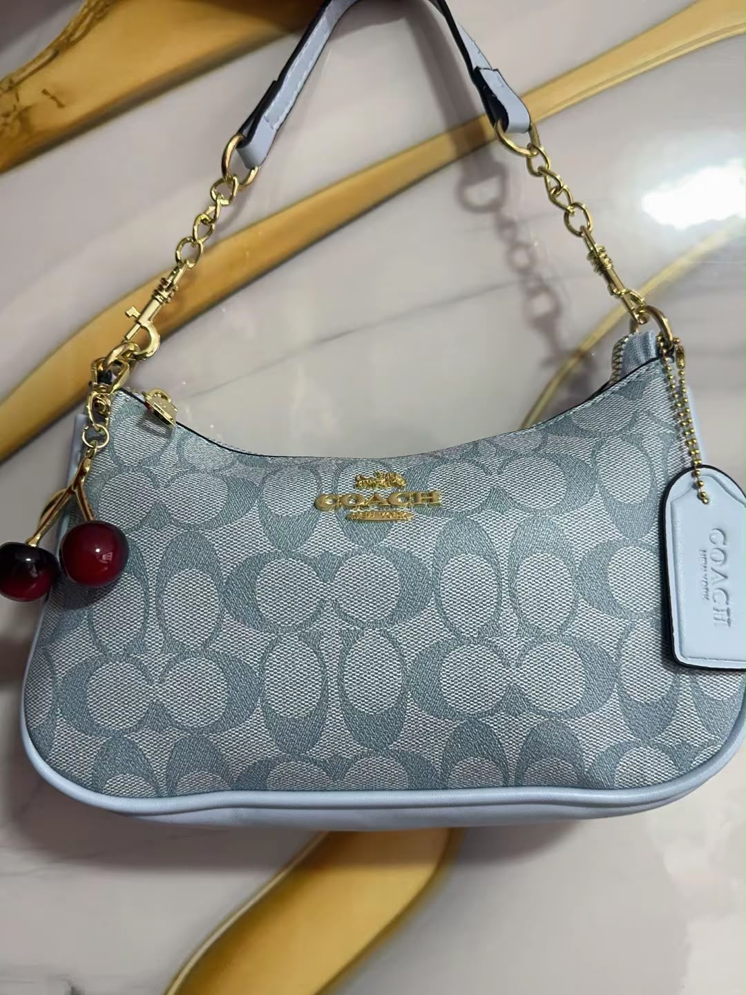 Bolsos Coach de Lujo para Mujer el Complemento Perfecto